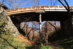 晩秋の陽だまり