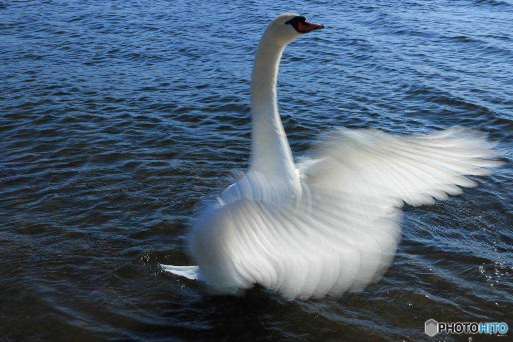 富士に向かって・・・3