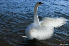 富士に向かって・・・3