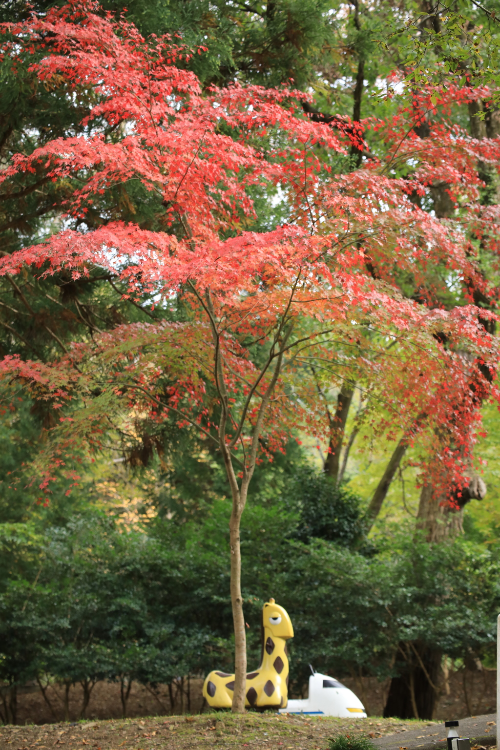 いやしの杜公園