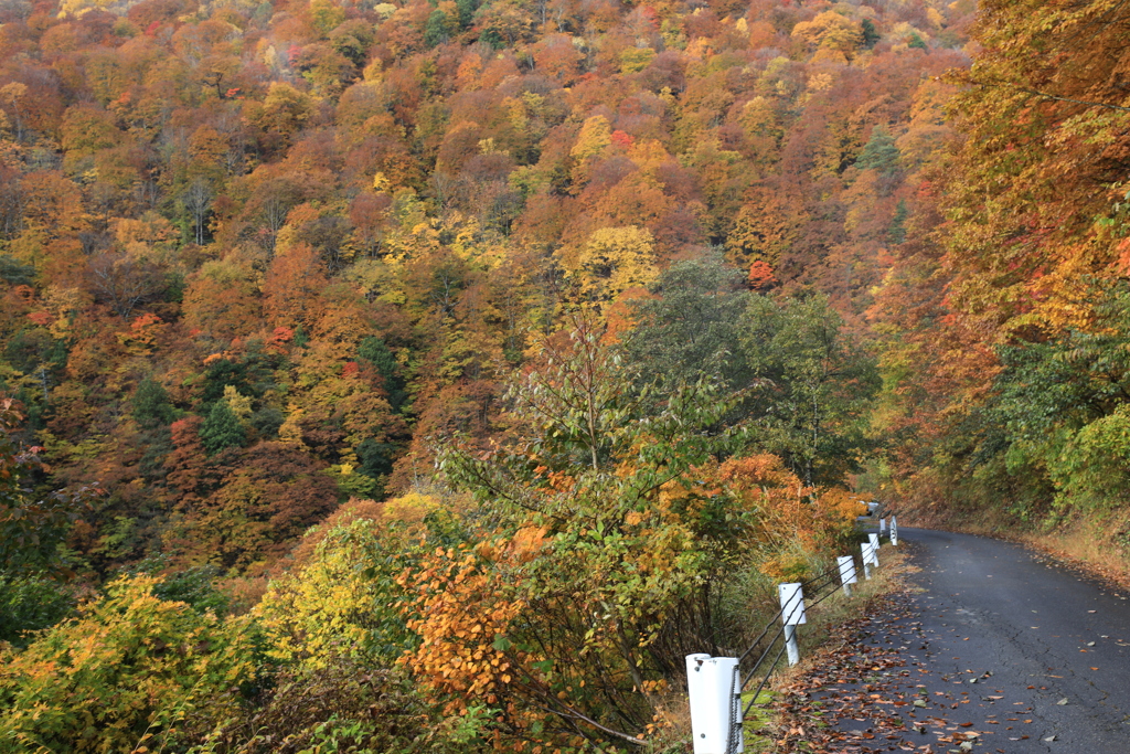 行って来ました「秋山郷」