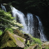 山法師咲く千ヶ滝