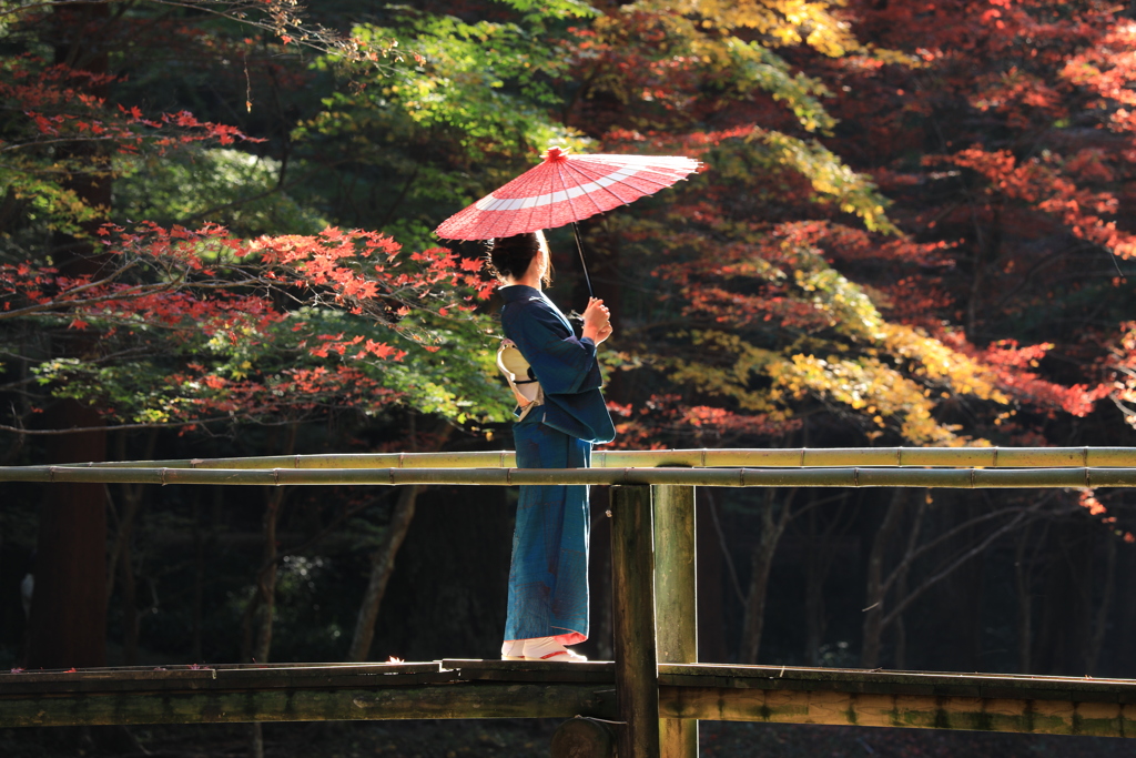 日本の美〃其の一