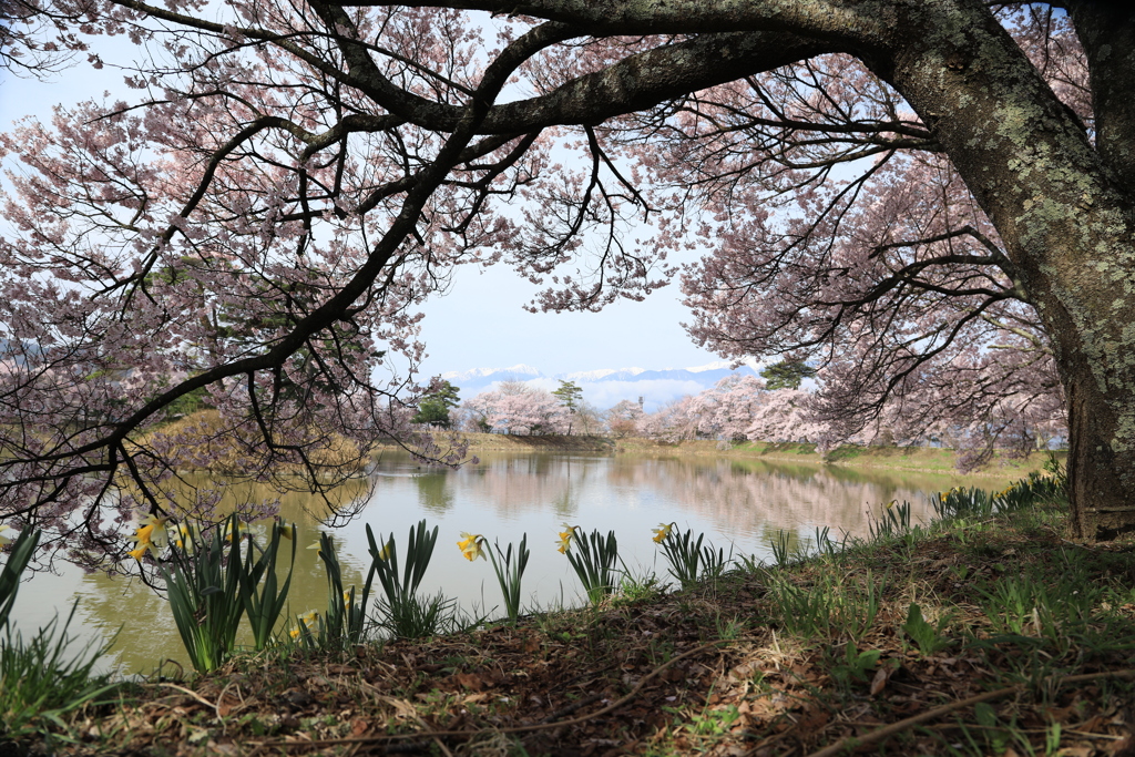 六道の堤・Ⅱ