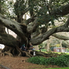 公園にて