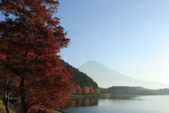 朝霧に佇む富士