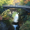 渓谷に掛かる橋