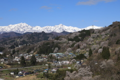 美しき村