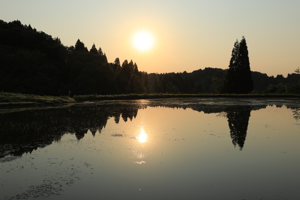 棚田の朝日