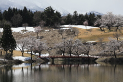松ヶ峰池