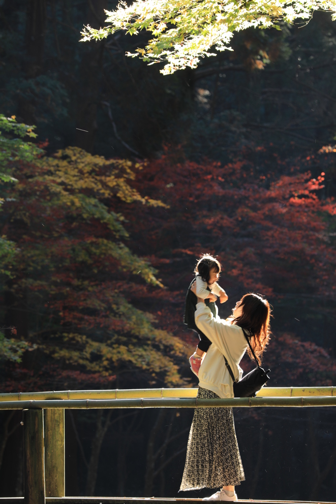 自然の舞台〃其の一