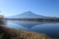 晩秋の富士