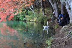 おねだり!