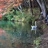 おねだり!