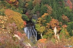 横谷観音展望台より