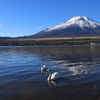 新春の富士