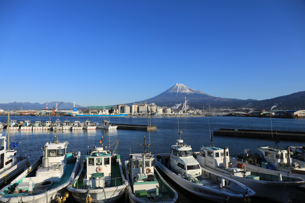 田子の浦港（休漁中）