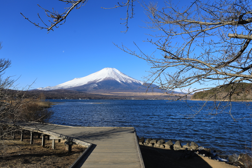 THE″富士山