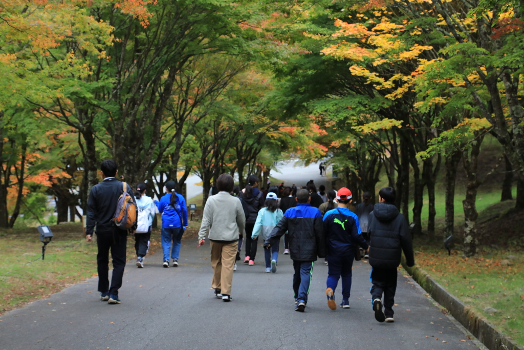 野外学習