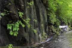 山肌に湧水・Ⅱ