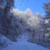 雪道