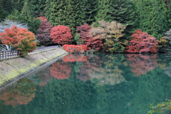 南伊奈ヶ湖