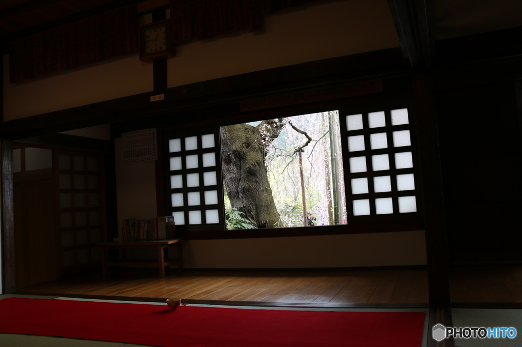 慈雲寺Ⅳ