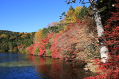 今年初めての紅葉