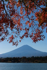 富士と紅葉・1