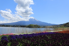 大石公園・Ⅲ