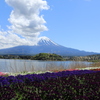 大石公園・Ⅲ