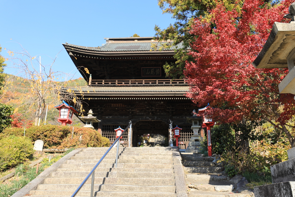 大善寺（山門）