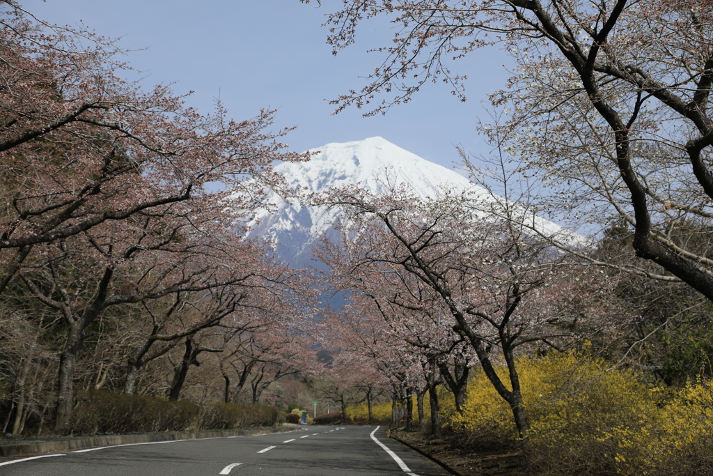 富士に向かって