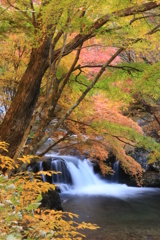 本谷川の秋