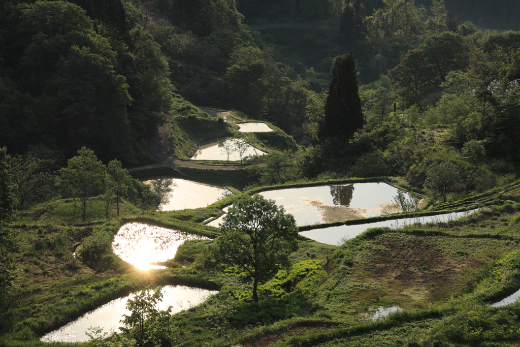 蒲生の棚田（蔵出し）