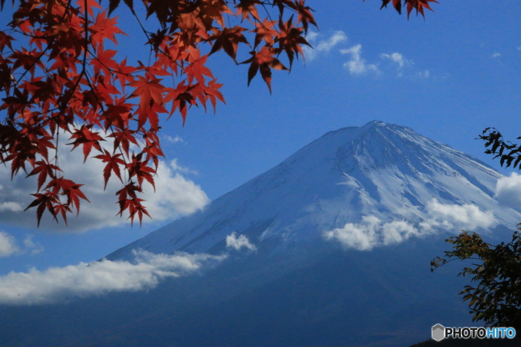 紅葉
