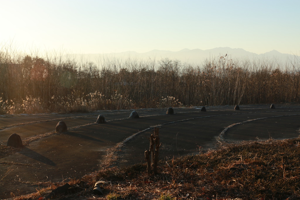 近所の公園・2