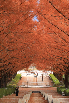 オレンジ色のトンネル