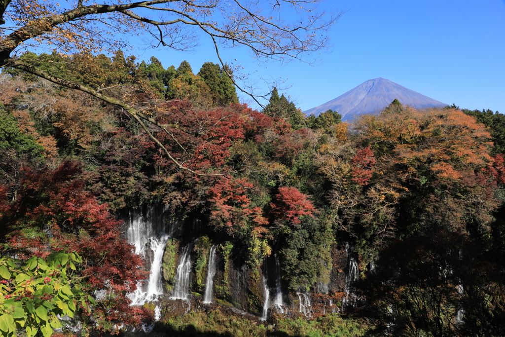 白糸の滝と富士