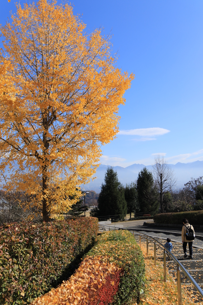 公園散歩