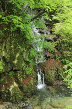 一之釜「釜沢の滝」