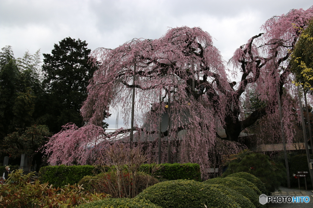 慈雲寺Ⅰ