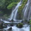 川霧立ち込める吐竜の滝