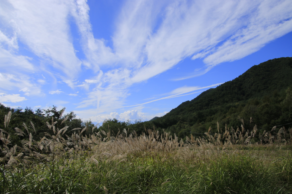 秋・到来・・