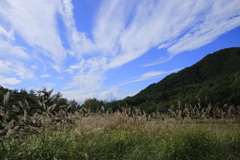 秋・到来・・