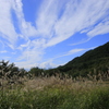 秋・到来・・