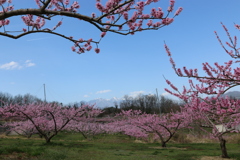 八ヶ岳を背に