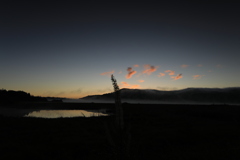 八島湿原の夜明け