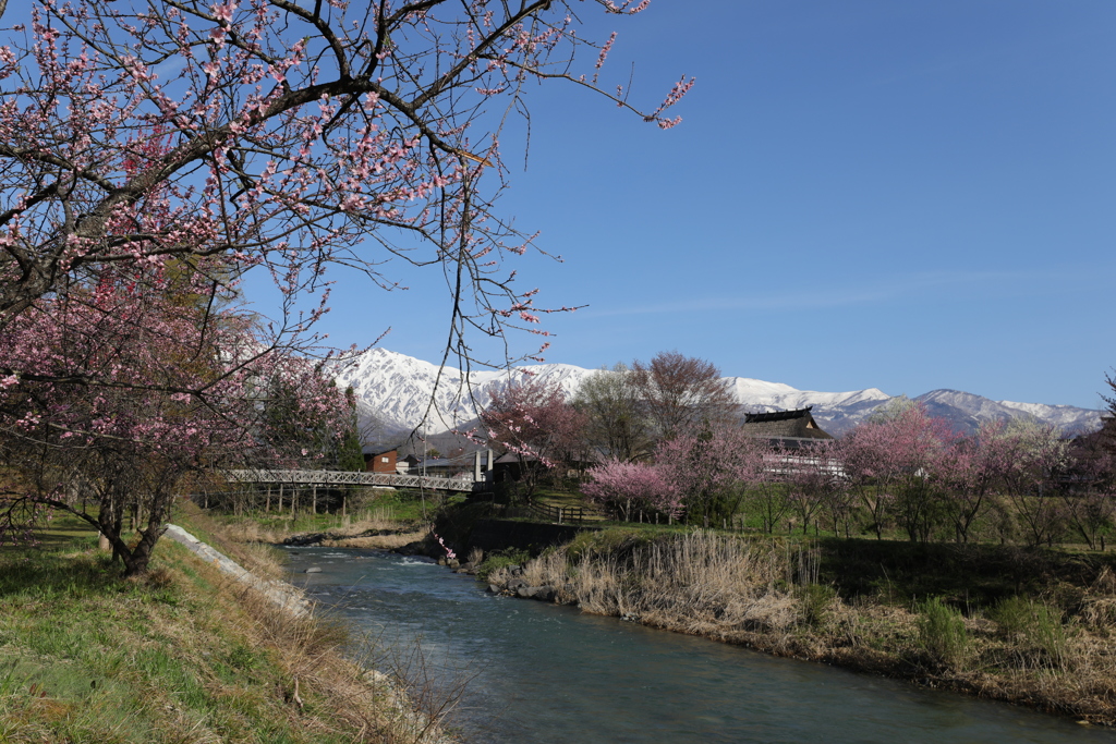 大出の吊橋・1