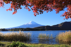 河口湖と紅葉